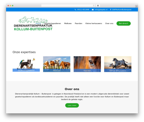 Theme WordPress Dap - dapkollumbuitenpost.nl