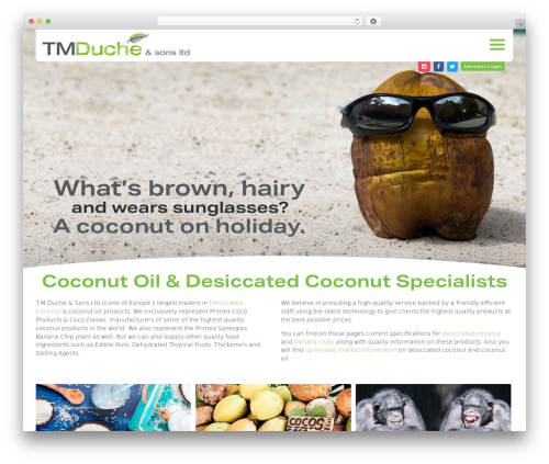 TMD theme WordPress - tmduche.com