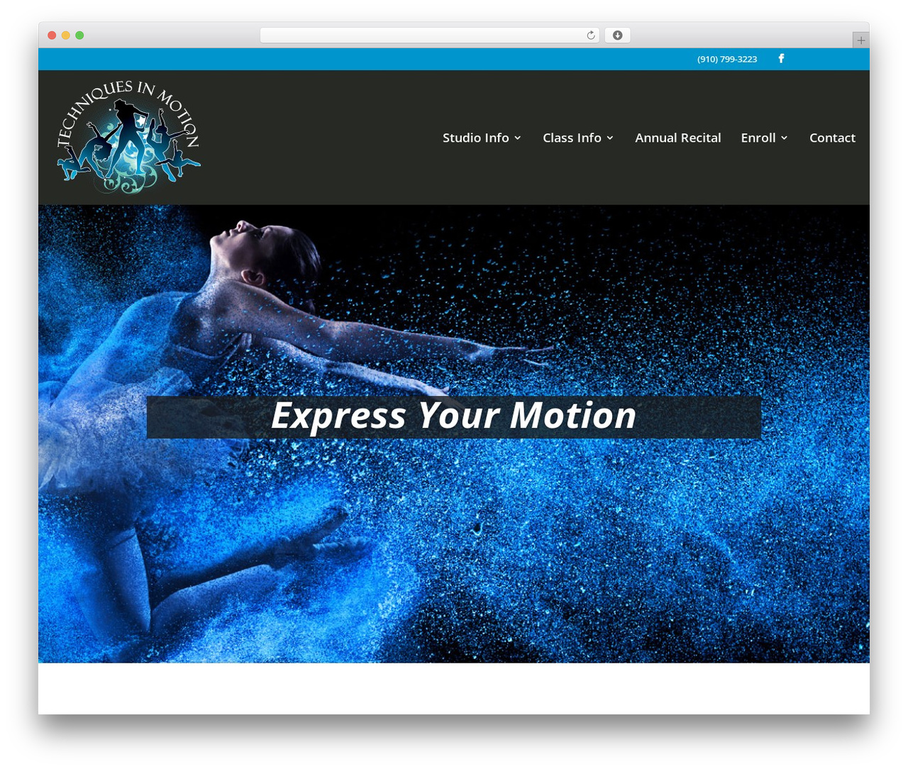 WordPress theme Divi - techniquesinmotion.com WordPress theme Divi - techniquesinmotion.com