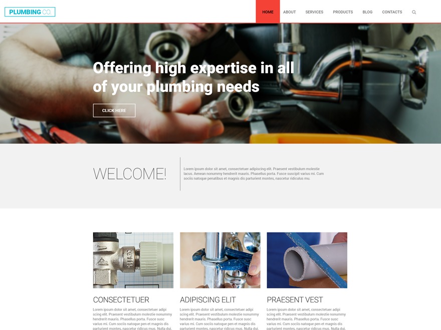 WordPress theme theme55759 WordPress theme theme55759