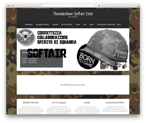 Mingle forum WordPress plugin - thunderbeer.it
