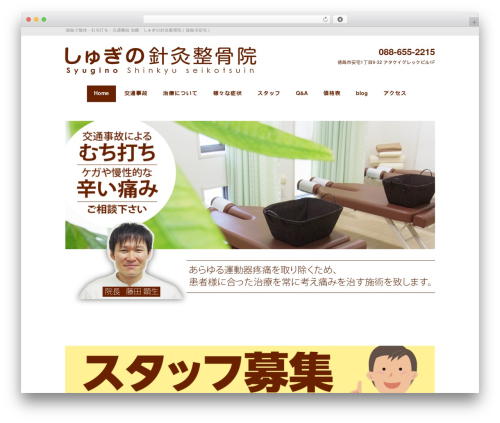 Black Studio theme WordPress - syugino.com