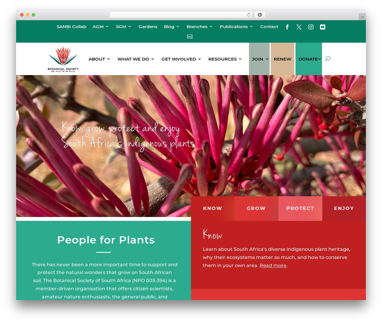 Divi theme WordPress - botanicalsociety.org.za Divi theme WordPress - botanicalsociety.org.za