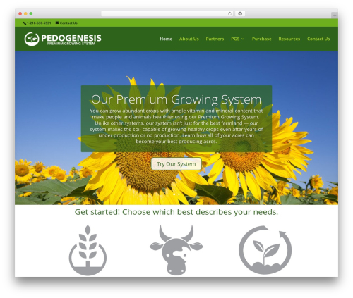 Divi WordPress theme - premiumgrowingsystem.com