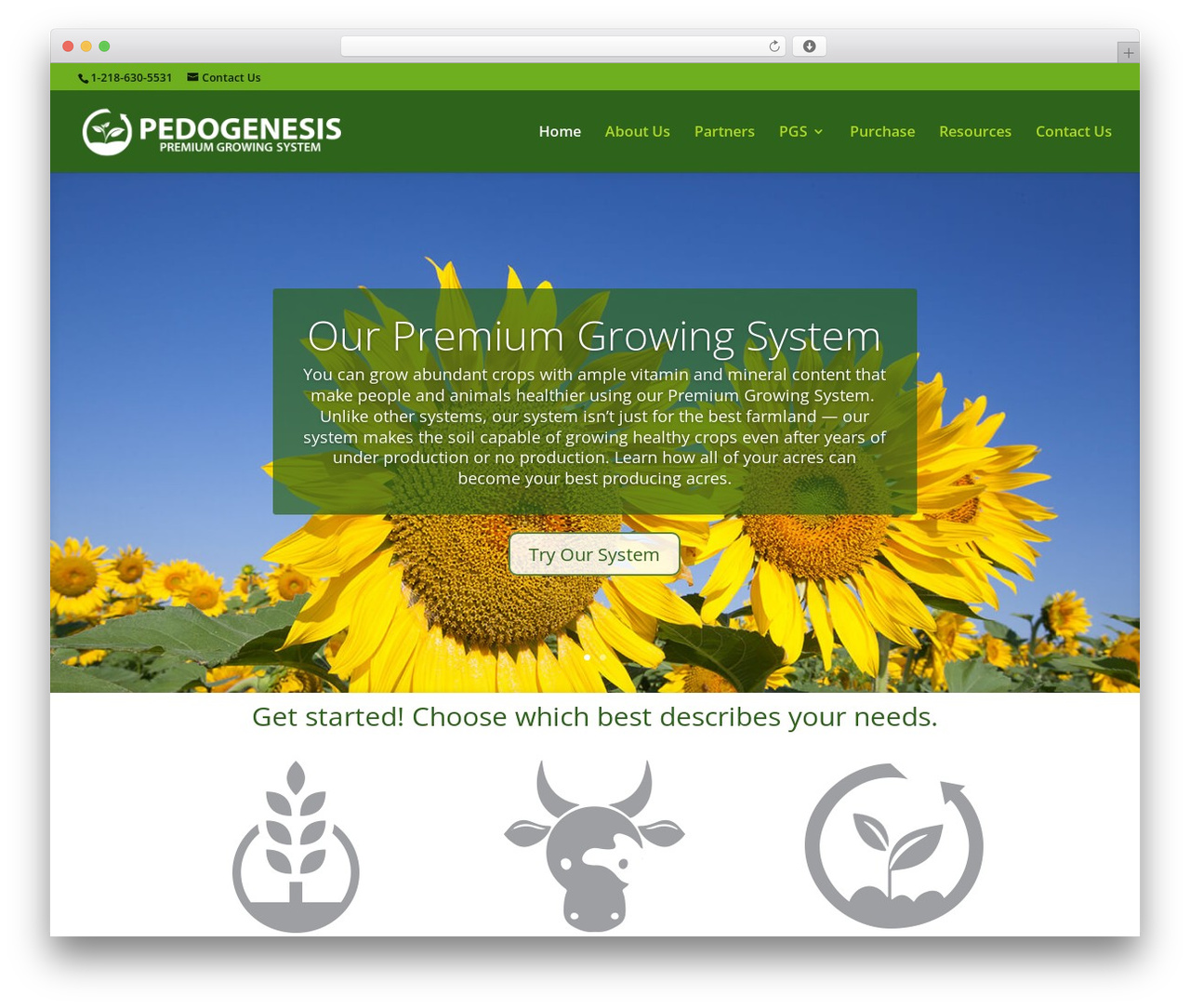 Divi WordPress theme - premiumgrowingsystem.com Divi WordPress theme - premiumgrowingsystem.com
