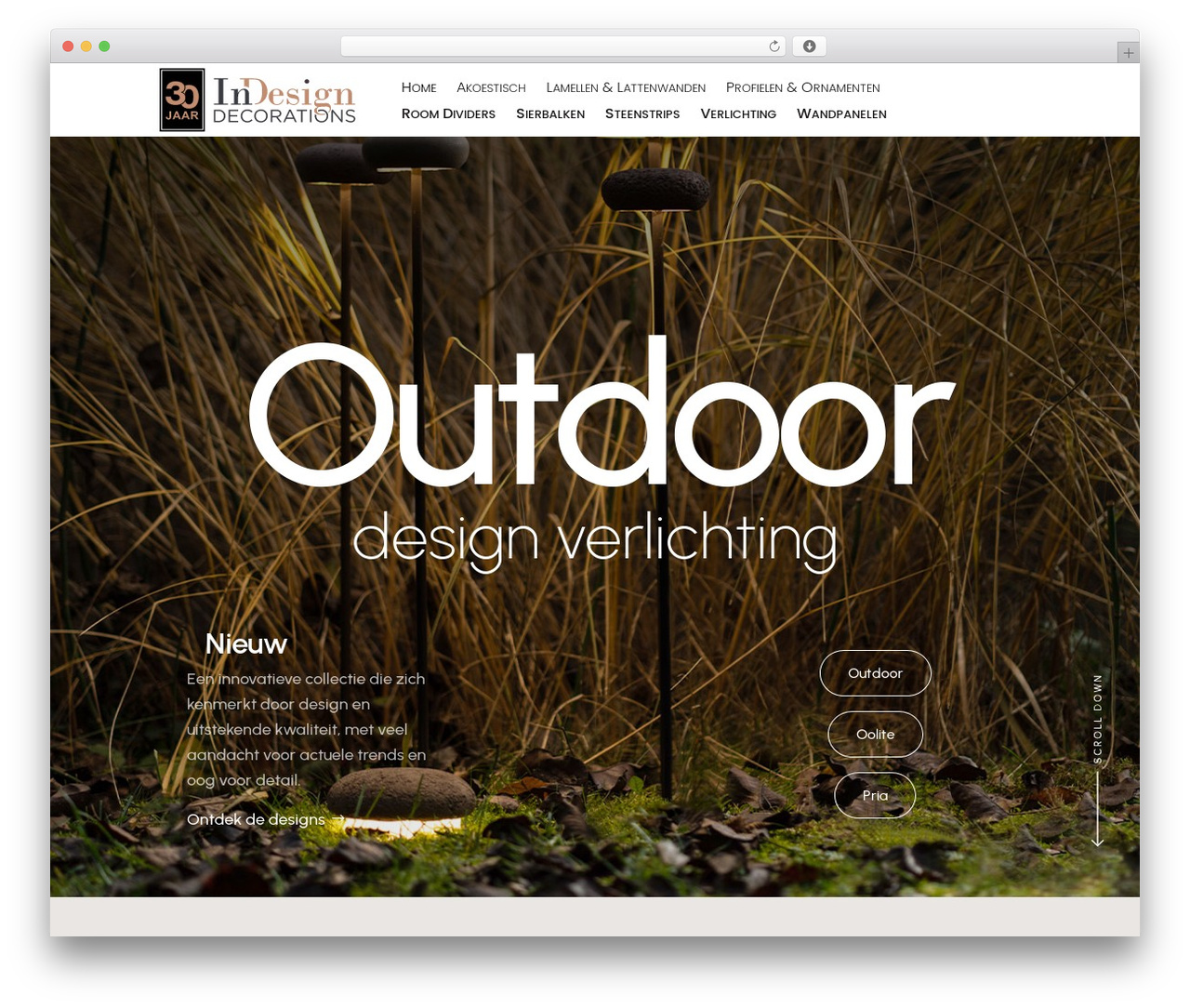 Divi WordPress theme - indesign.nl