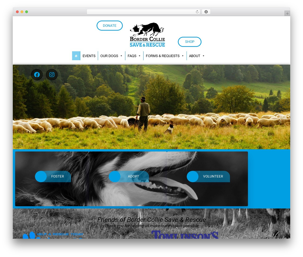 Page Builder Framework WordPress theme - bcsave.org
