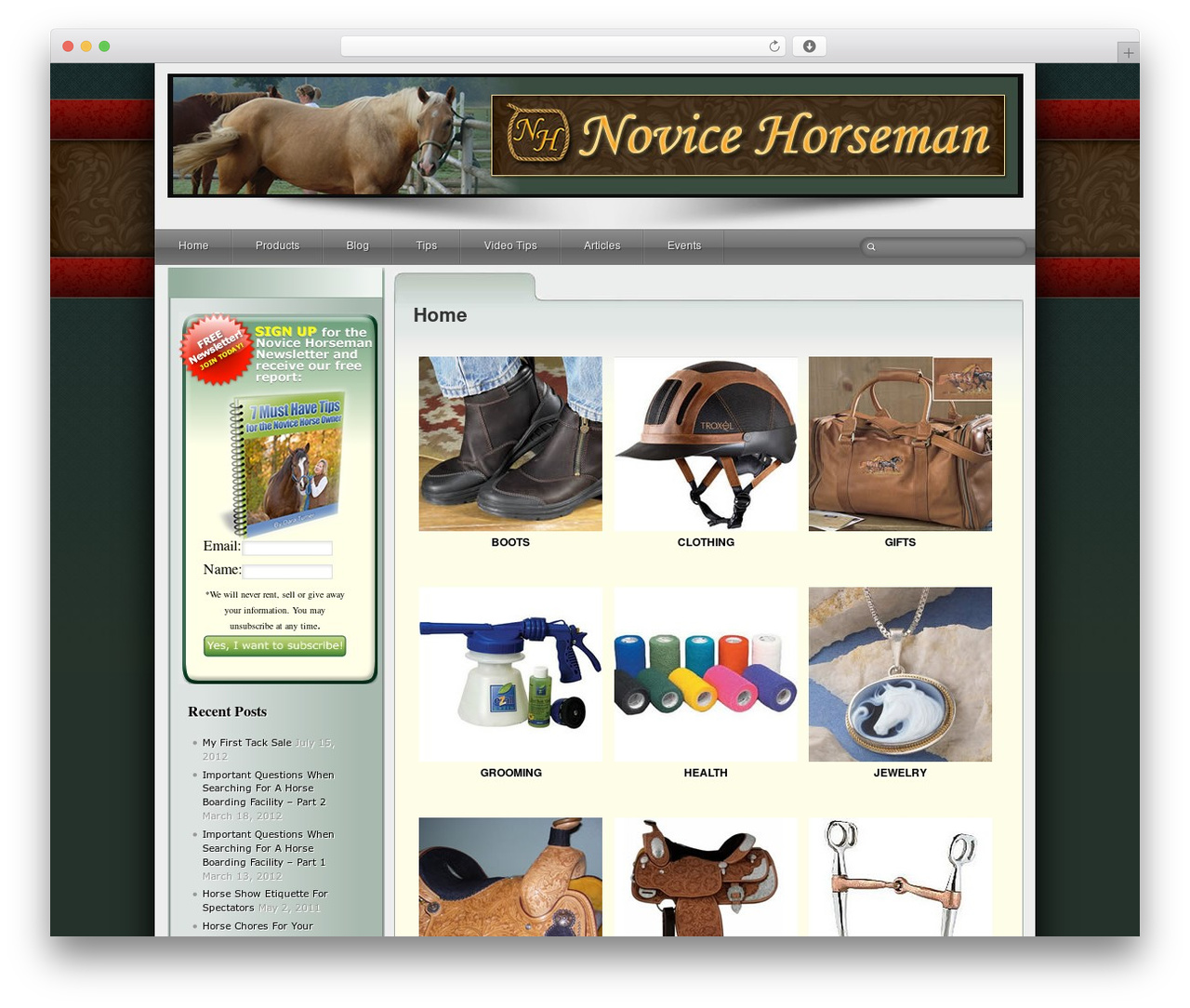 Silverclean Pro Child 01 WordPress website theme - novicehorseman.com