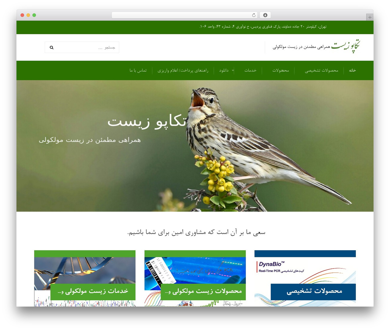 StartRight theme WordPress - takapouzist.com StartRight theme WordPress - takapouzist.com