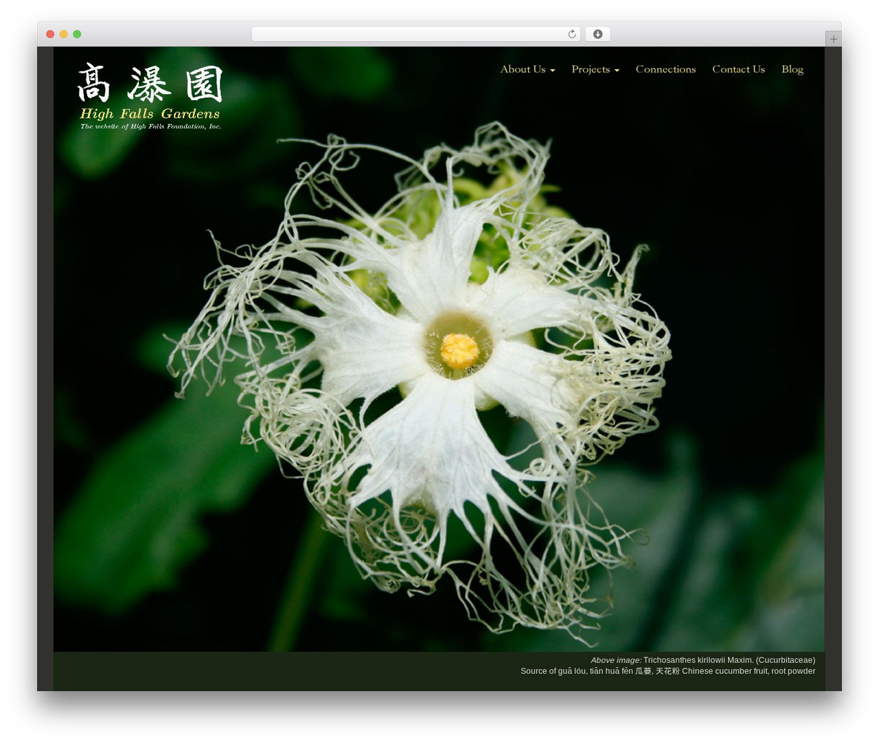 Theme WordPress Bootstrap Basic Child - highfallsgardens.net