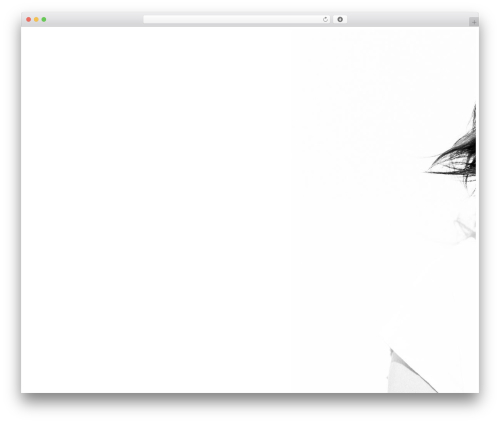 Cherry lazy load WordPress plugin - martinaebm.com