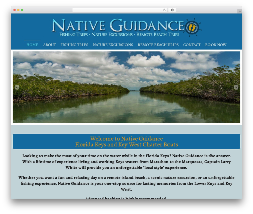 Theme WordPress Perspective - nativeguidance.com Theme WordPress Perspective - nativeguidance.com