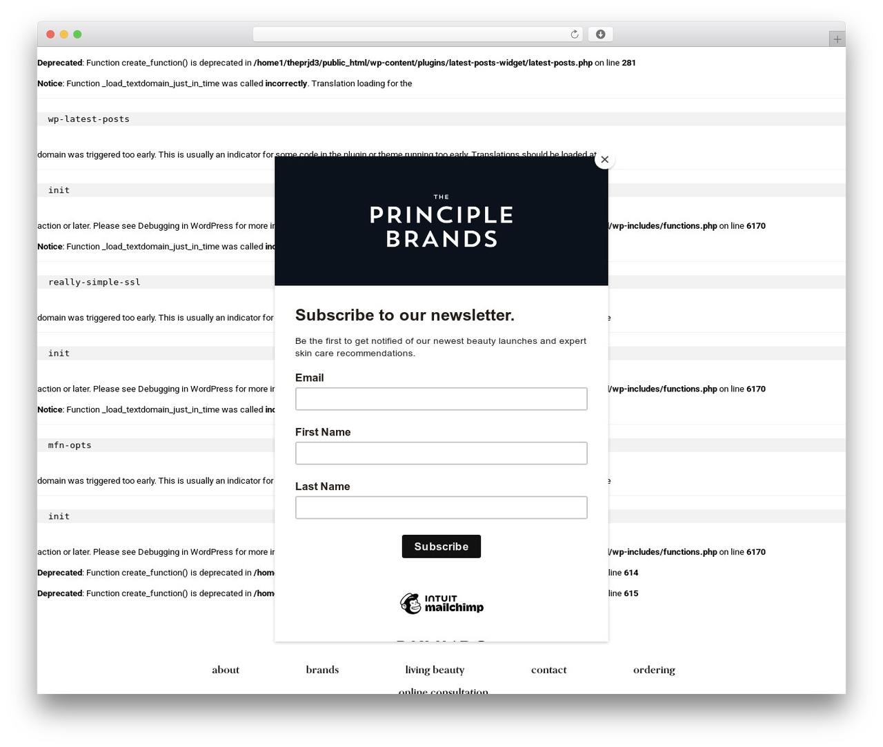 WordPress theme Cake - theprinciplebrands.com WordPress theme Cake - theprinciplebrands.com