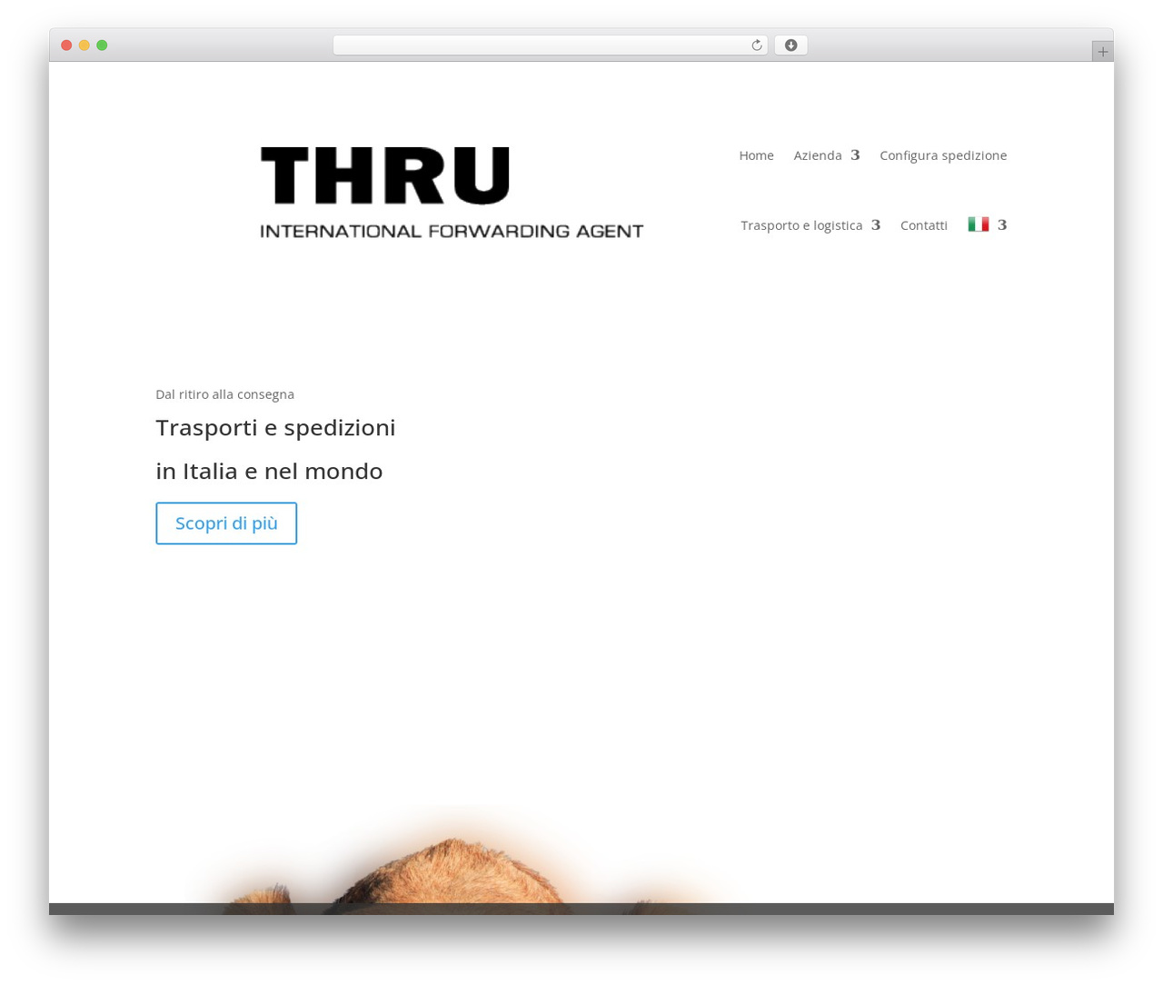 WordPress theme Divi - thruex.com