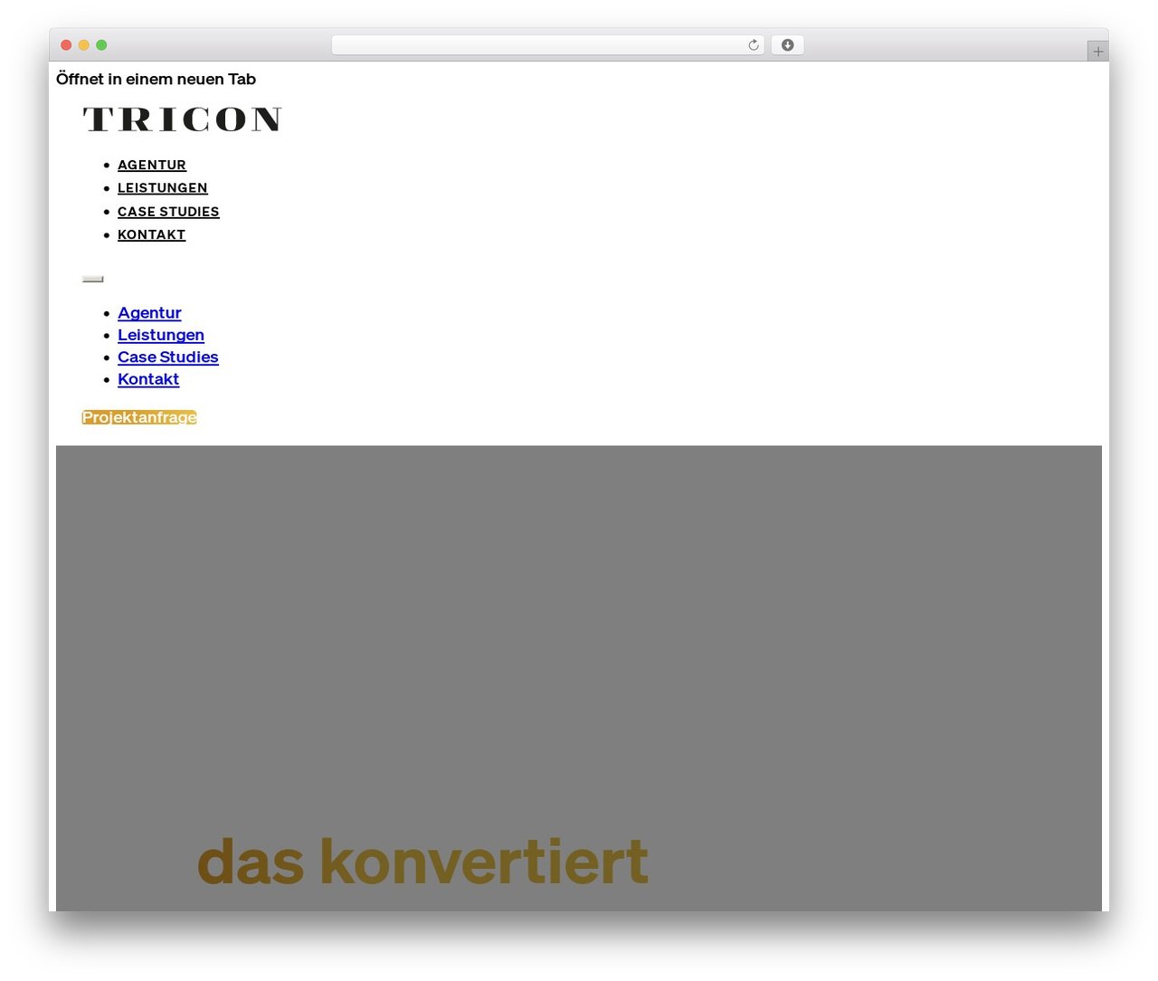 Theme WordPress Bricks - agentur-tricon.de Theme WordPress Bricks - agentur-tricon.de