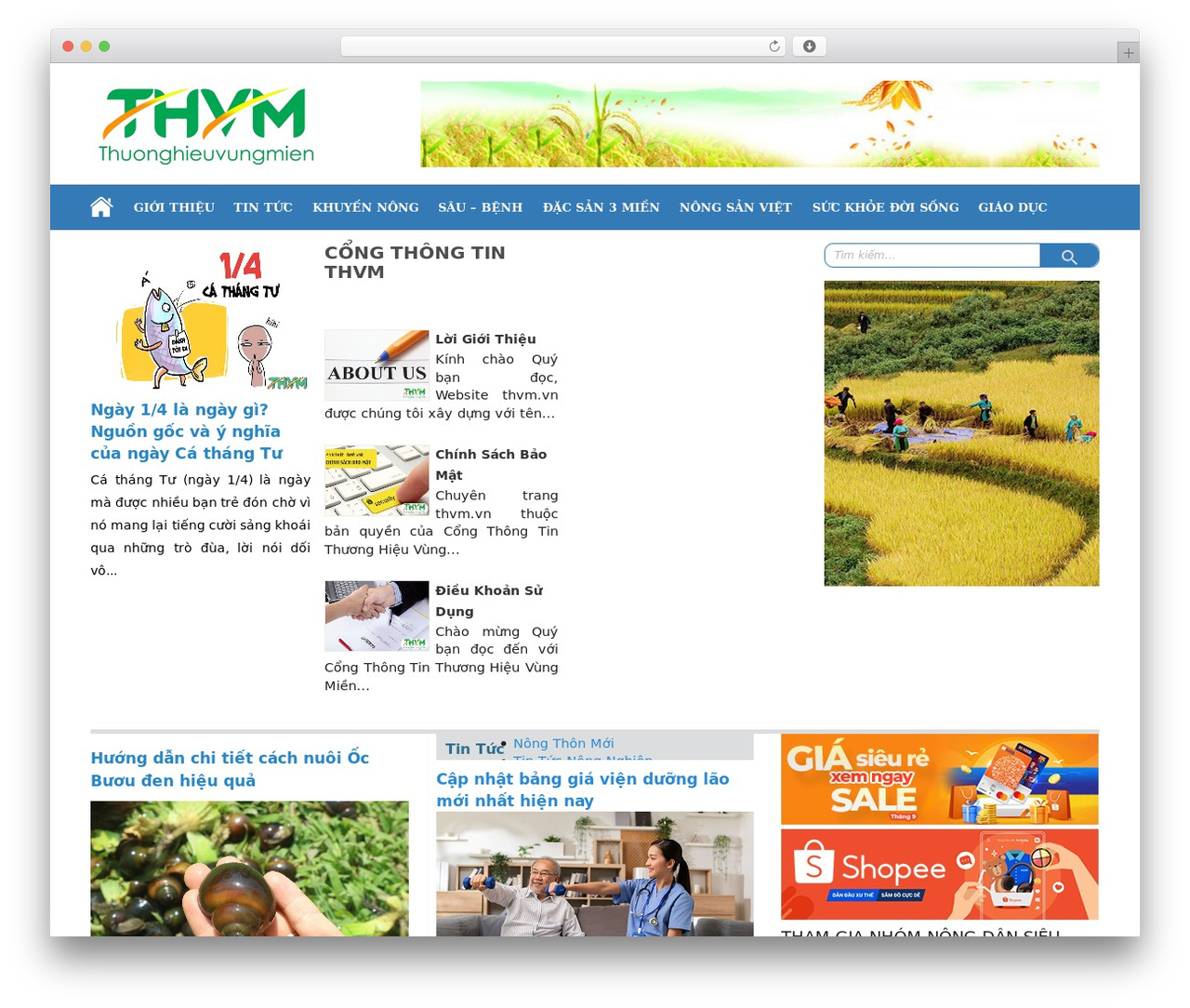 THVM WordPress theme - thvm.vn