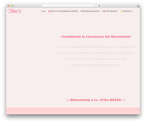 WordPress theme Hello Elementor - metodonaces.com