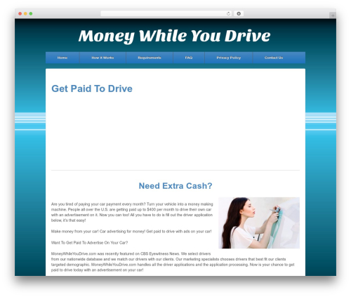 WordPress theme Responsive Pro - moneywhileyoudrive.com