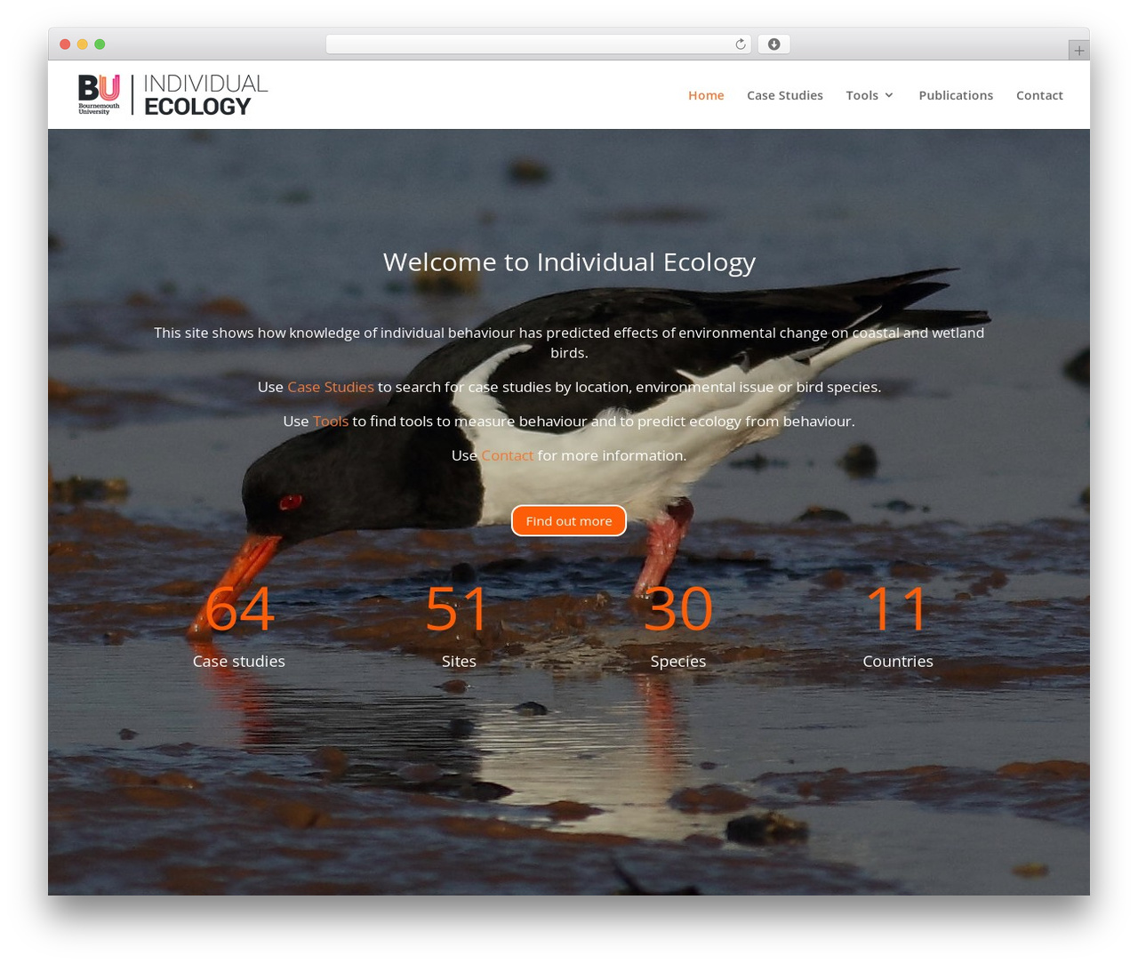 WordPress theme Divi - individualecology.com WordPress theme Divi - individualecology.com