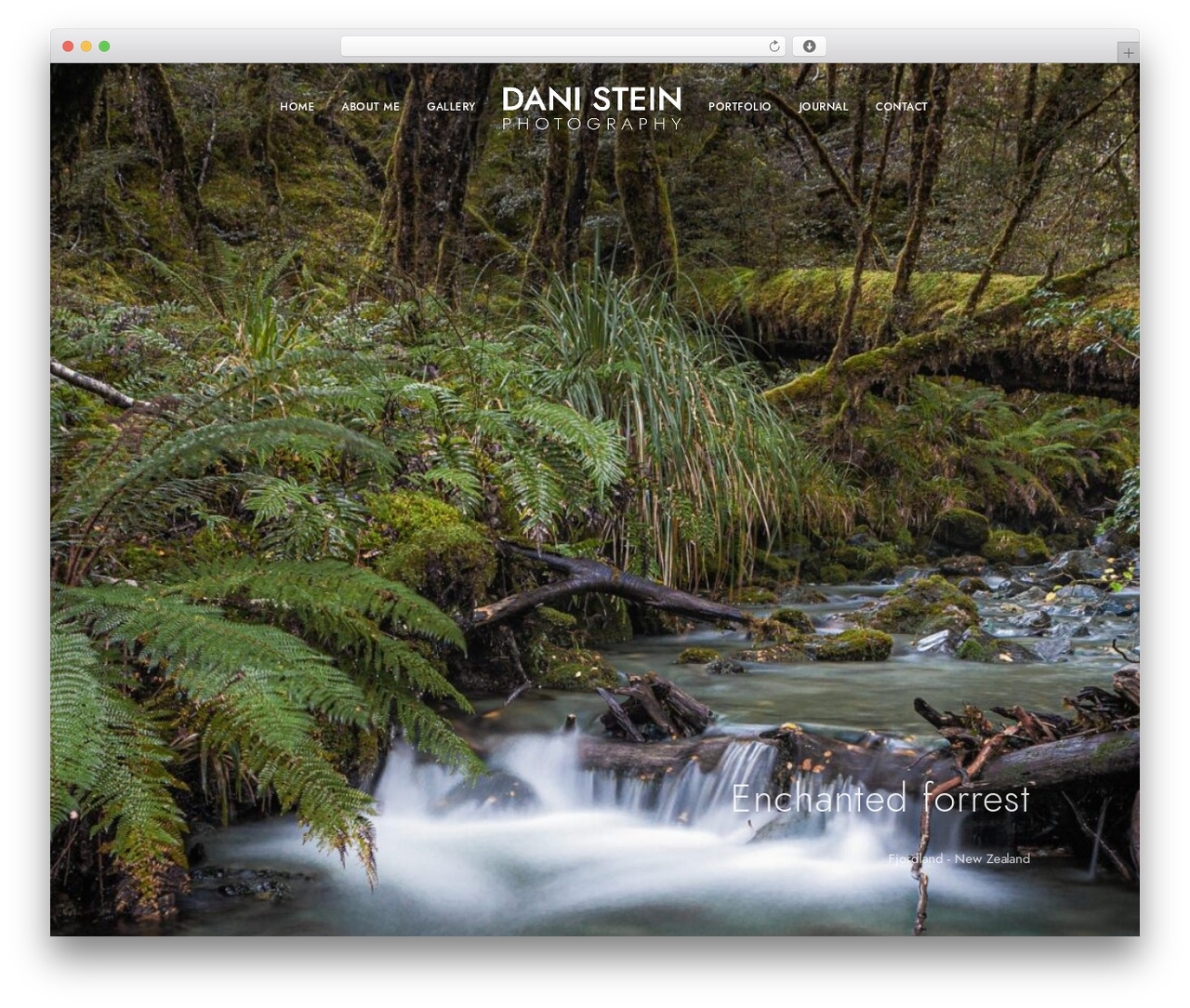 Blacksilver WordPress theme - danistein.com