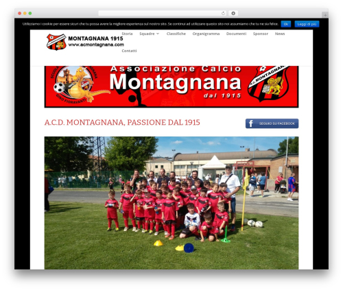 Wp responsive recent post slider pro WordPress plugin - acmontagnana.com