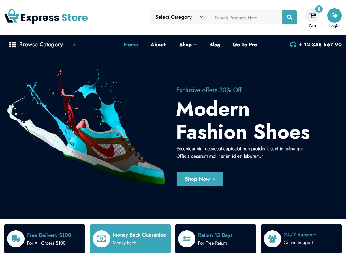 Express Store WordPress store theme Express Store WordPress store theme