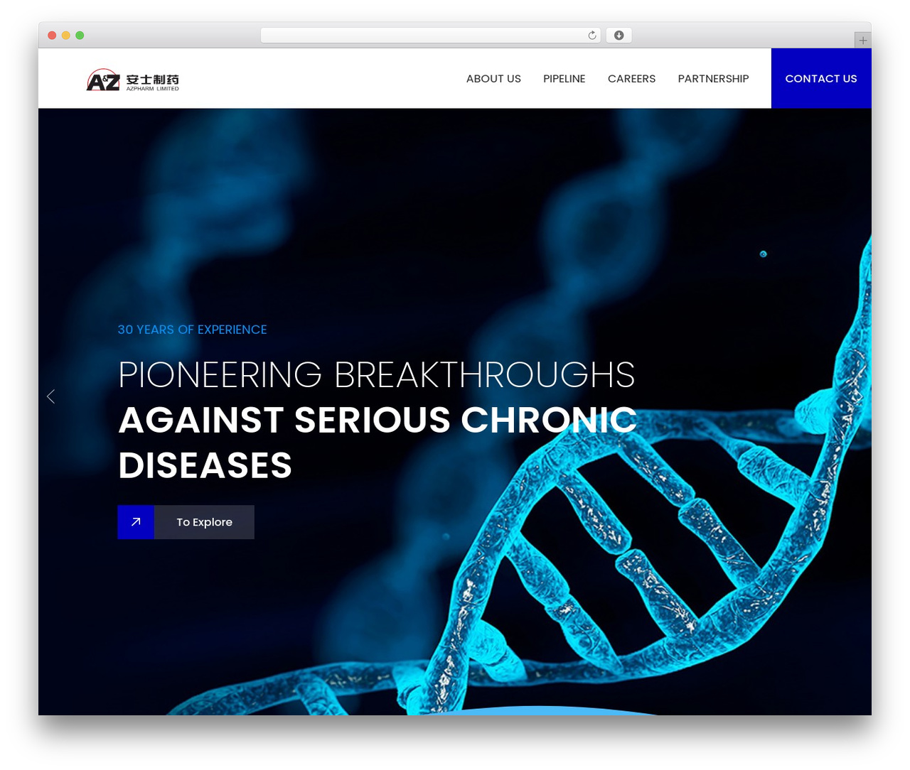 Sytech Web theme WordPress - anshipharm.com