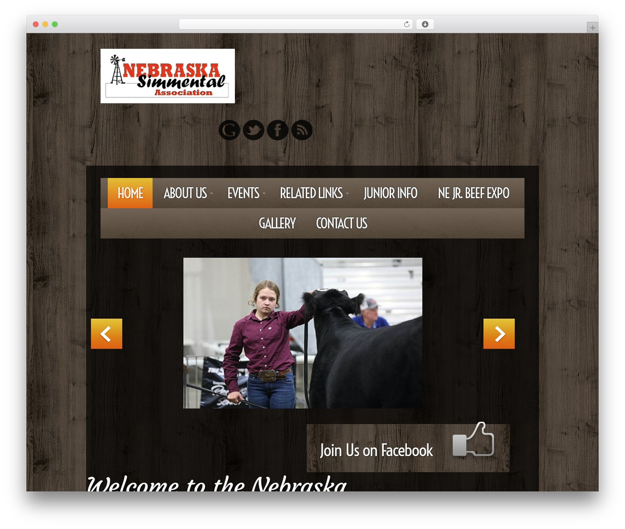 Theme WordPress cherry - nesimmental.com Theme WordPress cherry - nesimmental.com