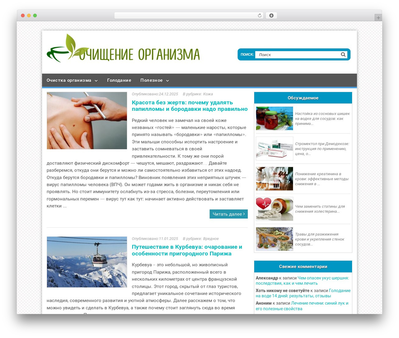 Turquoise Theme WordPress theme - toxinam.net