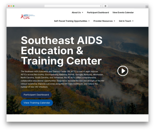 WP theme Divi - seaetc.com
