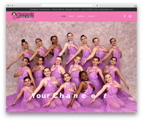 Zephyr WordPress theme - ssdanz.com