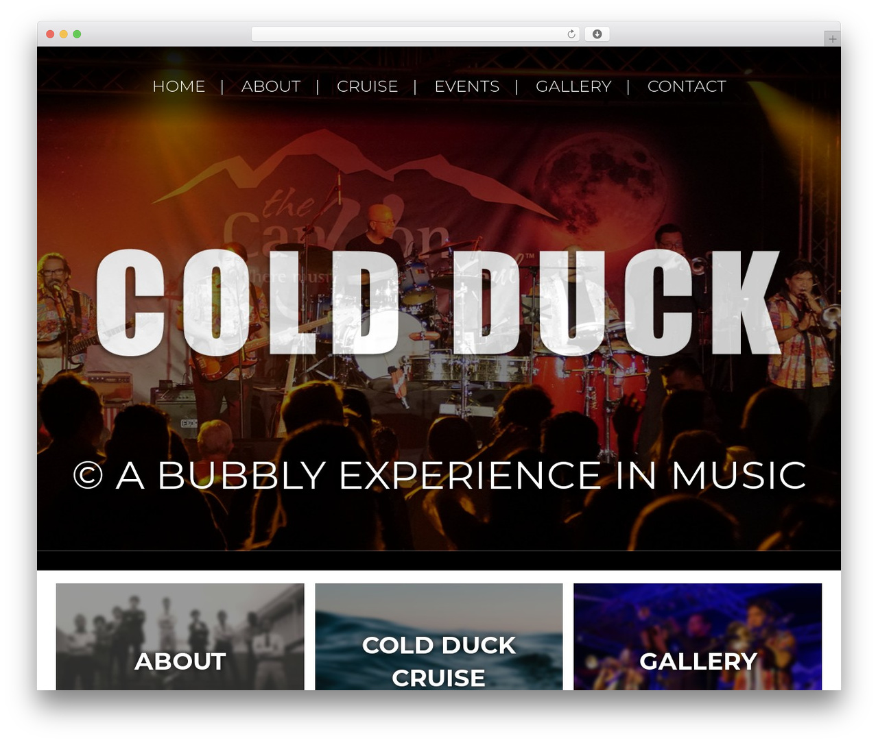 Cold Duck Custom Theme WordPress theme - coldduck.com Cold Duck Custom Theme WordPress theme - coldduck.com