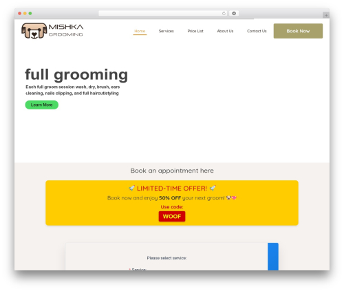 Visitors traffic real time statistics pro WordPress plugin - mishkagrooming.com