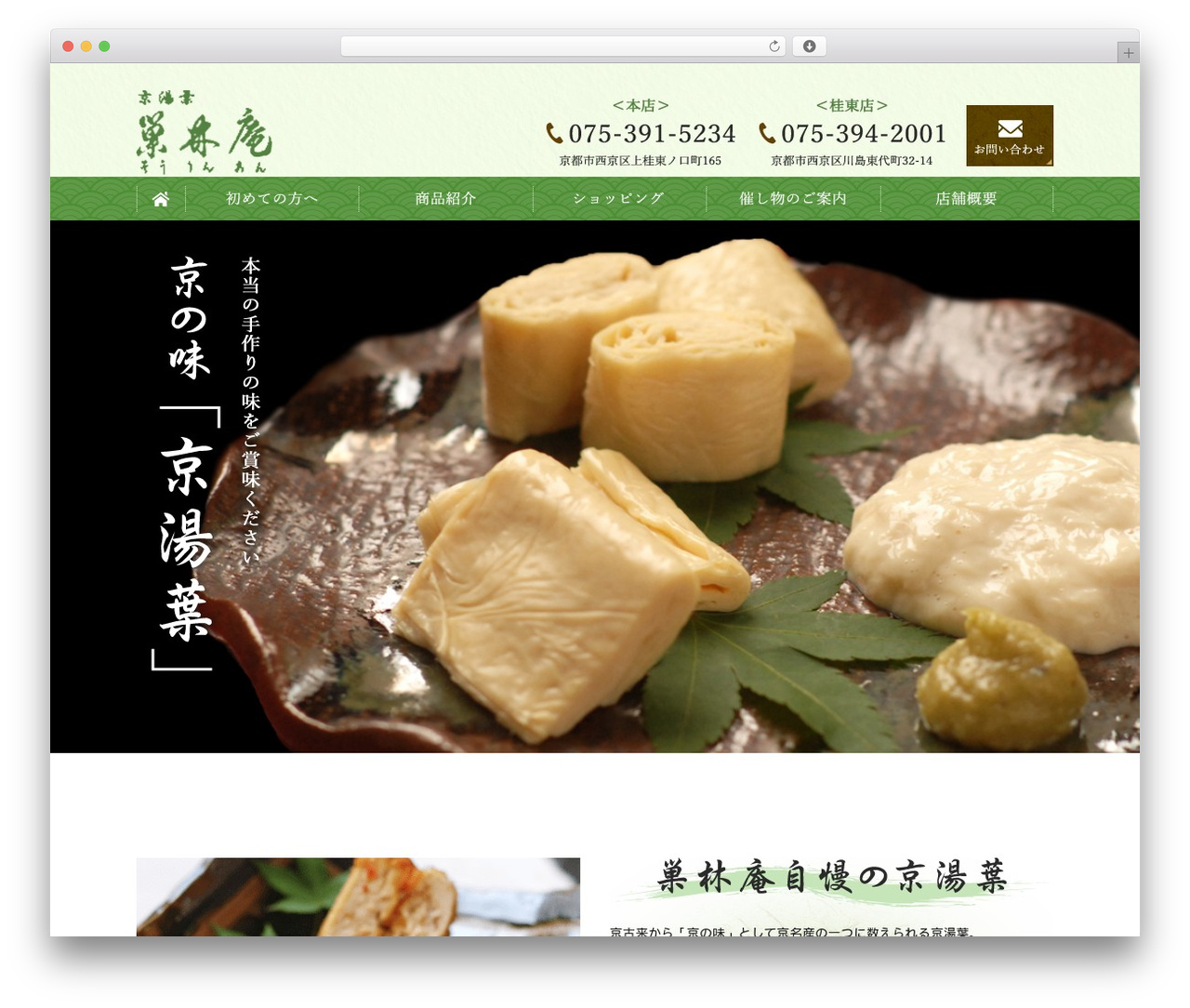ManaSys WordPress theme design - sourinan.com
