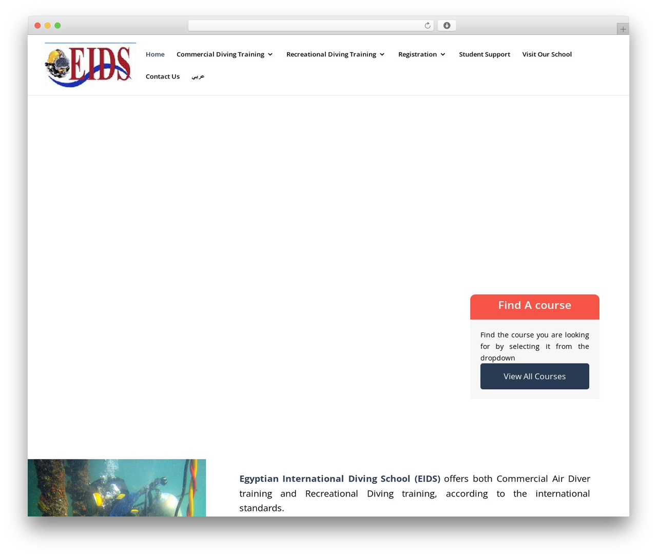 WordPress theme Divi - eids-egypt.com WordPress theme Divi - eids-egypt.com