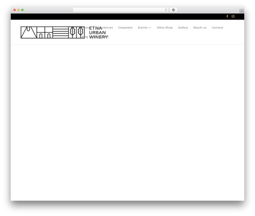 Wptools masonry gallery posts for divi premium WordPress plugin - www.etnaurbanwinery.it