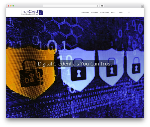 Divi WordPress theme - truecred.com