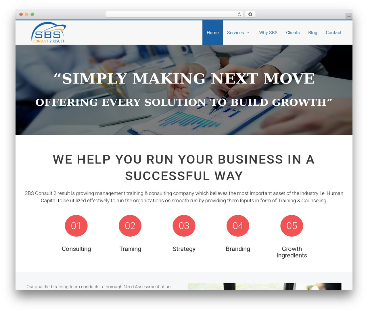 WordPress theme SBS - sbsconsult2result.com