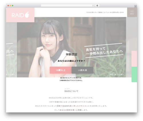 WP theme RAID - raid-one1.com