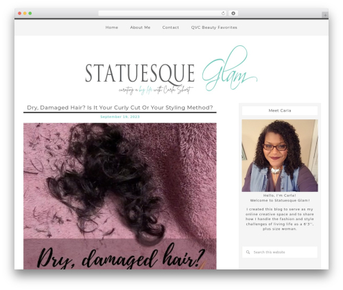 Best WordPress theme Silver Theme - statuesqueglam.com