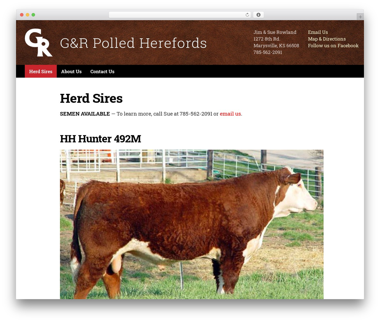 DD Custom WP theme - grpolledherefords.com DD Custom WP theme - grpolledherefords.com