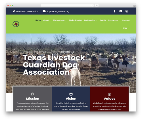 Ds carousel WordPress plugin - texaslgdassoc.org