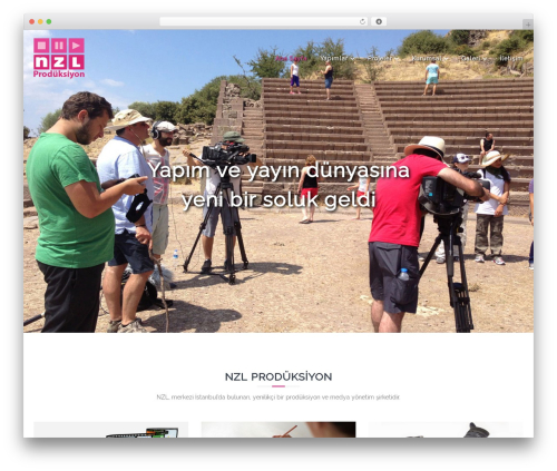 Flash best free WordPress theme - nzlproduksiyon.com