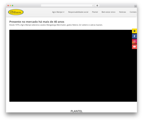 Flat Theme WordPress page theme - agromaripa.com.br Flat Theme WordPress page theme - agromaripa.com.br