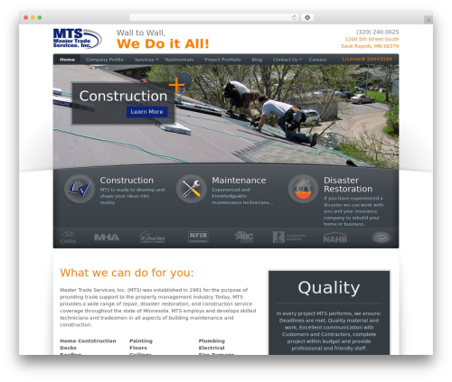 MTS WordPress theme - masterts.com