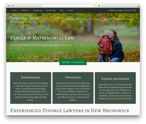 Offsprout Basic WordPress theme - cytrynlaw.com