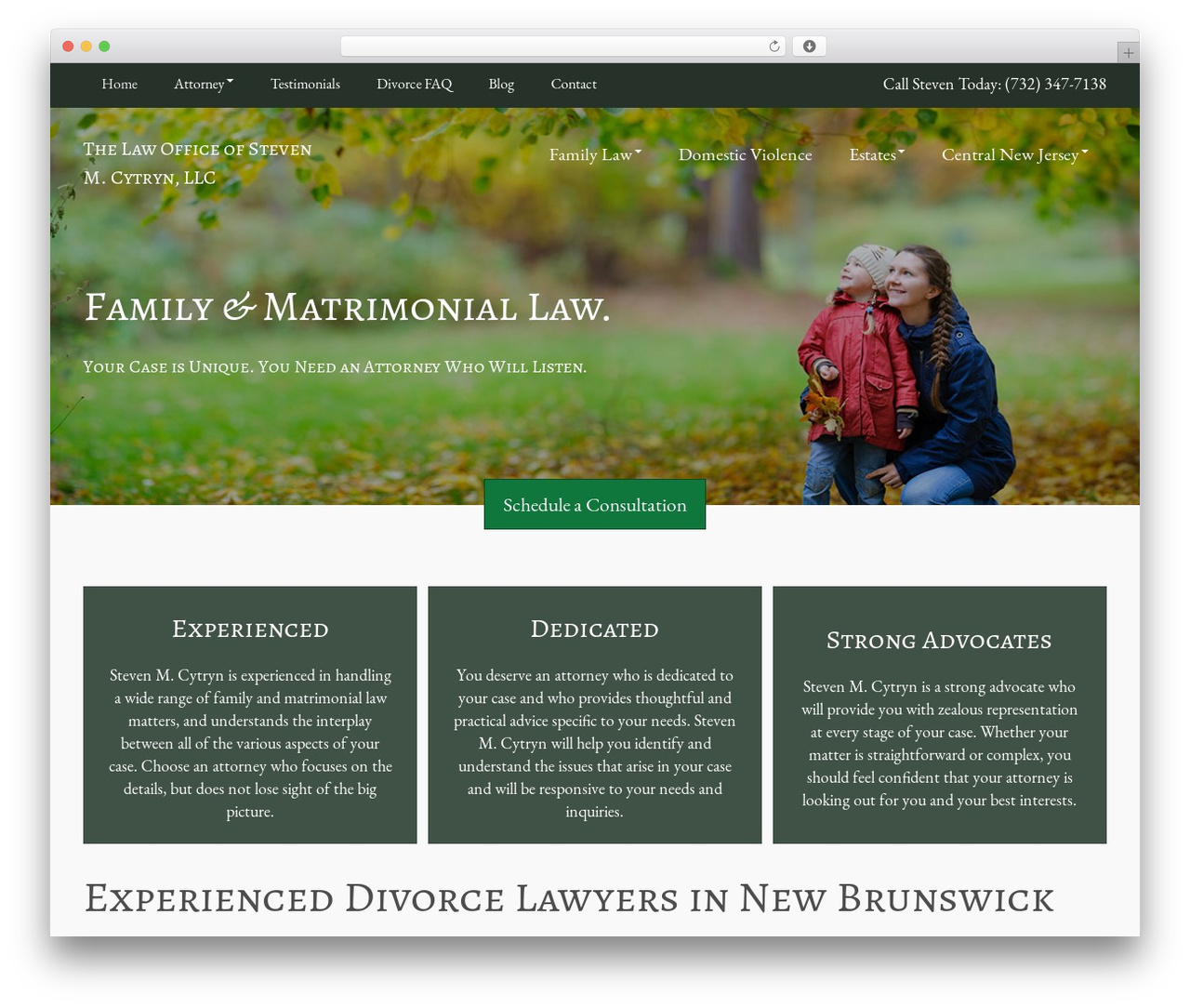 Offsprout Basic WordPress theme - cytrynlaw.com