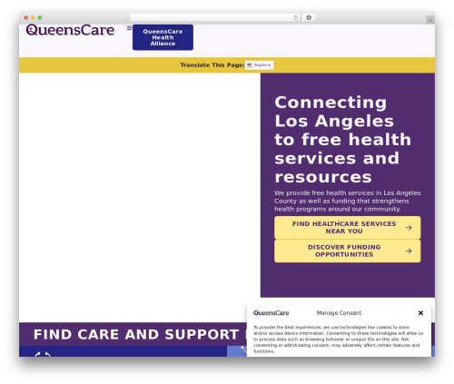 WordPress theme Hello Elementor - queenscare.org