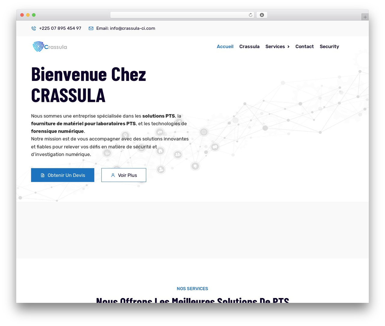 WordPress theme Vaximo - crassula-ci.com