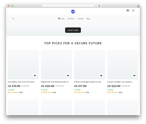 Best WordPress theme Botticelli - orfixa.com